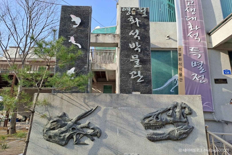 1억 년 돌 위에 발도장 — 영월 지질 탐험 하루